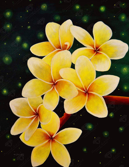 Diamond Painting Plumeria 13" x 17" (32.8cm x 42.6cm) / Round With 14 Colors Including 2 ABs and 1 Iridescent Diamonds / 17,784
