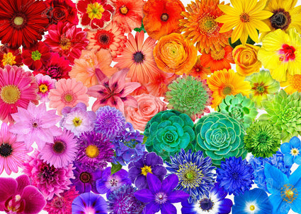 Diamond Painting Rainbow Flower Power 38.6" x 27.6" (98cm x 70cm) / Square with 61 Colors including 6 ABs / 107,476