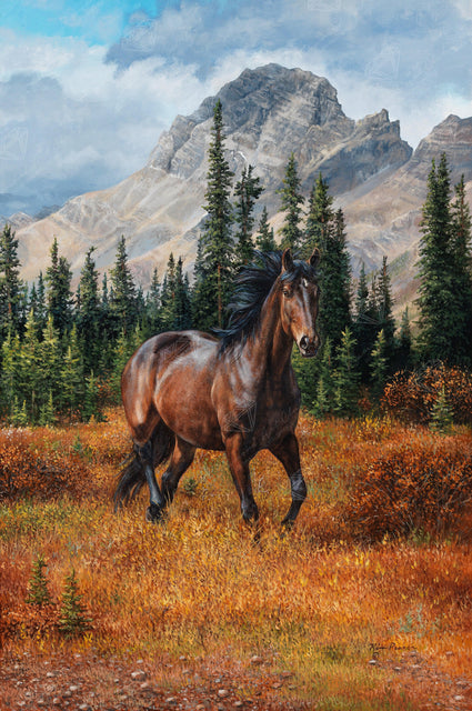 Diamond Painting Rocky Mountain Freedom 25.6" x 38.6" (65cm x 98cm) / Square with 44 Colors including 3 ABs / 102,573