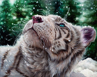 Diamond Painting Snow Tiger 25" x 20" (63.9cm x 50.7cm) / Round With 34 Colors Including 2 ABs / 41,268