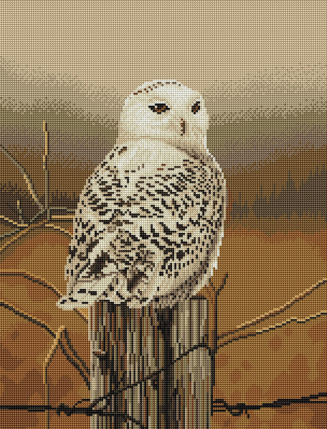 Diamond Painting Snowy Owl 17" x 22" (43cm x 56cm) / Round With 18 Colors Including 2 ABs / 30,248