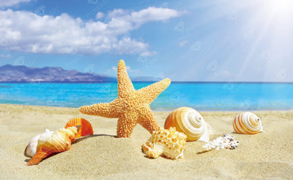 Diamond Painting Summer Beach Starfish 16" x 26″ (41cm x 66cm) / Round with 38 Colors including 2 ABs / 33,696