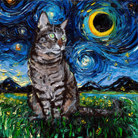 Diamond Painting Tabby Night 25.6" x 25.6" (65cm x 65cm) / Square with 42 Colors including 4 ABs / 68,121