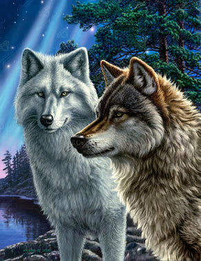 Mystic Astral Wolf Diamond Painting Kit – Heartful Diamonds