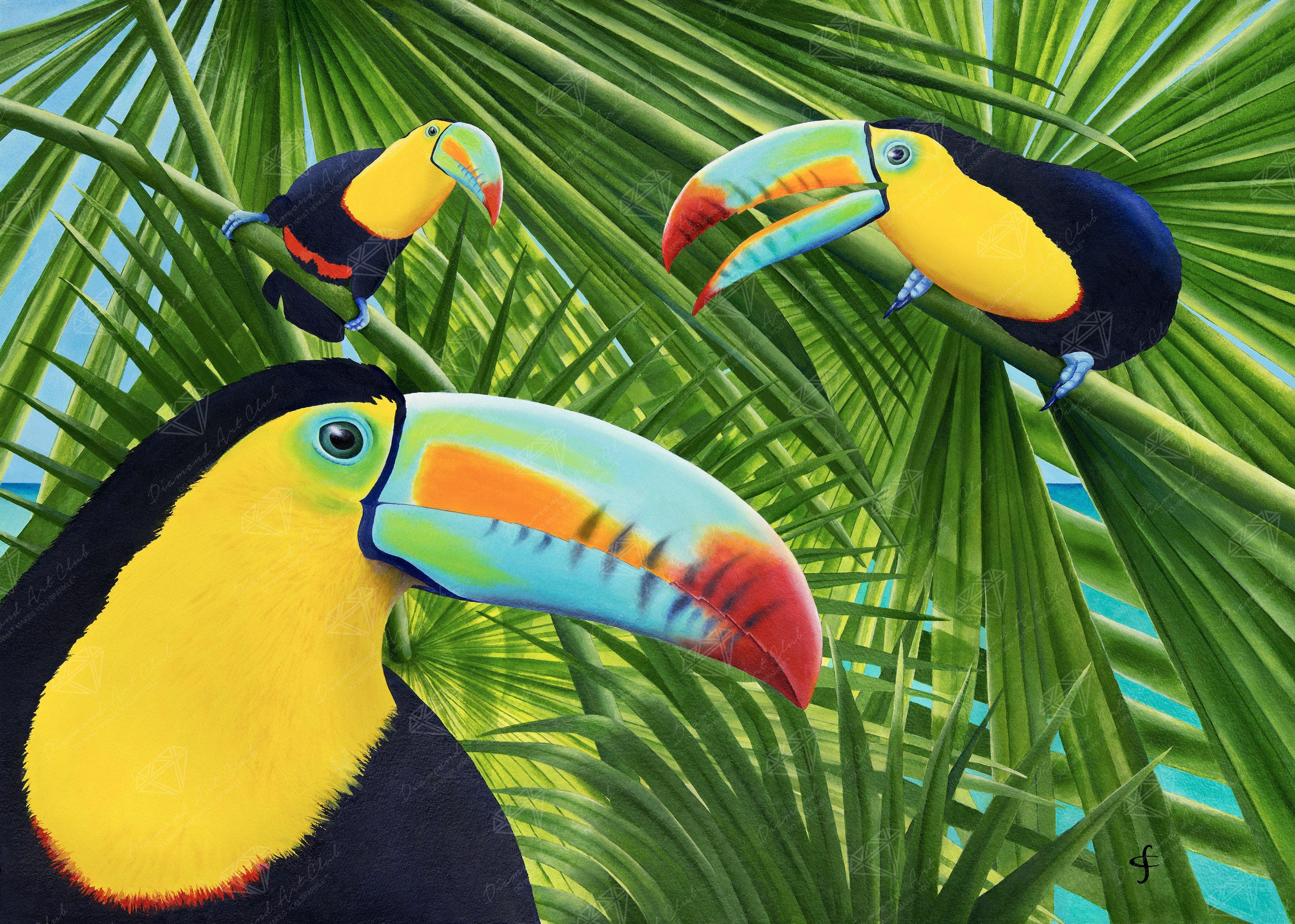 Toucan Threesome Diamond Painting Kit – Diamond Art Club