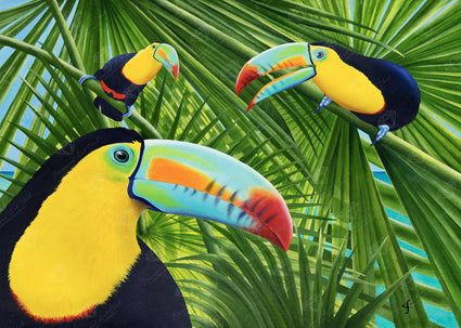 Diamond Painting Toucan Threesome 20" x 28″ (51cm x 71cm) / Round with 30 Colors including 1 AB