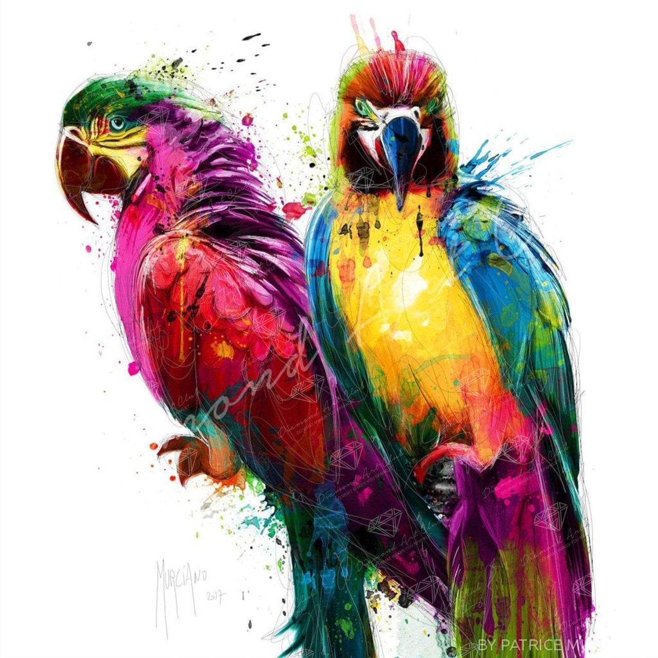 Diamond Painting Tropical Birds 12.6″ x 12.6″ (32cm x 32cm) / Square With 36 Colors including 3 ABs / 15,627
