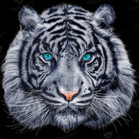 Diamond Painting White Tiger 20" x 20″ (51cm x 51cm) / Square With 16 Colors Including 1 AB / 28,978