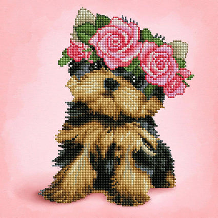 Diamond Painting Yorkie & Roses 13" x 13″ (33cm x 33cm) / Square with 33 Colors including 4 ABs / 7,047