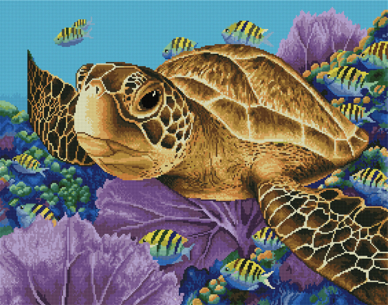 Diamond Painting Young Green Sea Turtle 22" x 28″ (56cm x 71cm) / Square with 38 Colors including 2 ABs / 62,604