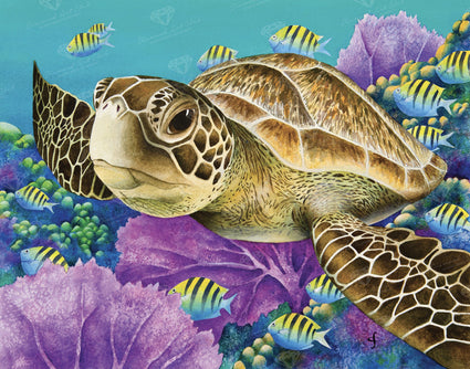 Diamond Painting Young Green Sea Turtle 22" x 28″ (56cm x 71cm) / Square with 38 Colors including 2 ABs / 62,604
